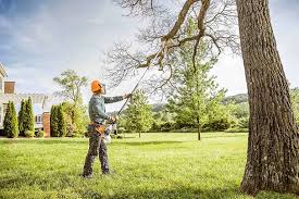 Best Lawn Disease Treatment  in Little Silver, NJ