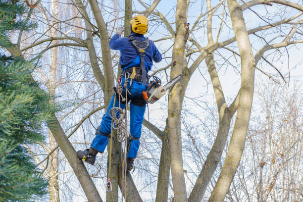 Best Soil Testing and Treatment  in Little Silver, NJ