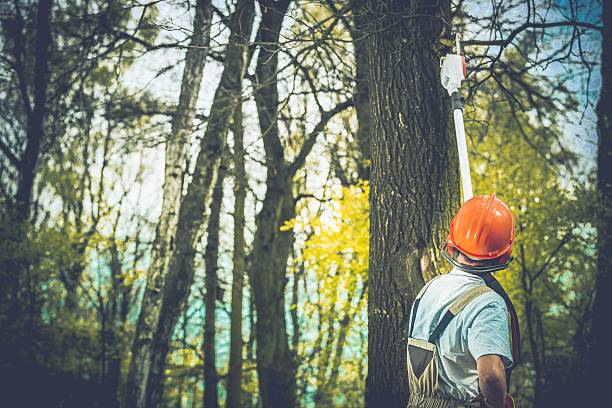 Soil Testing and Treatment in Little Silver, NJ